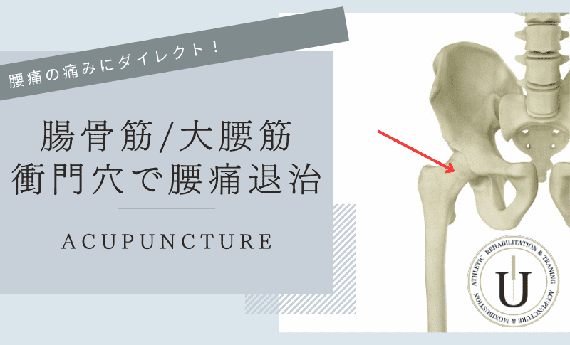 腰痛に関連が深い腸腰筋と衝門穴